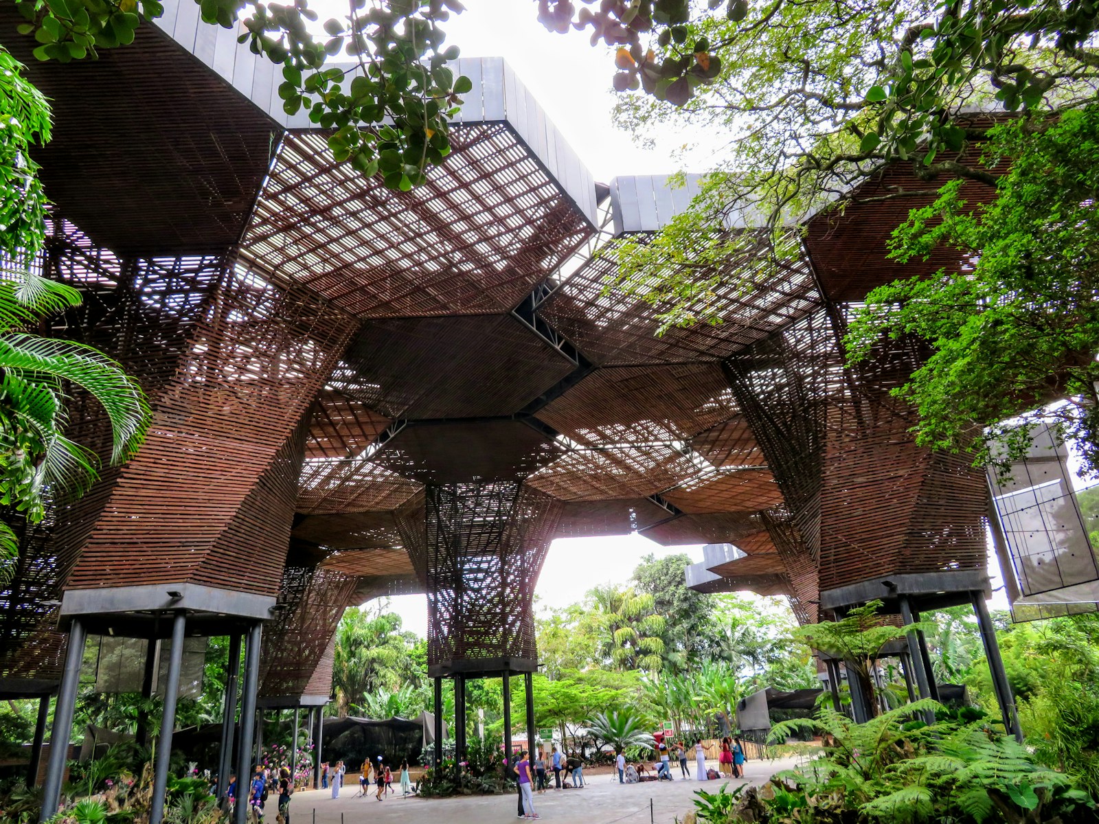 The Orquideorama at the Medellín Botanical Garden — a hexagonal wooden canopy structure